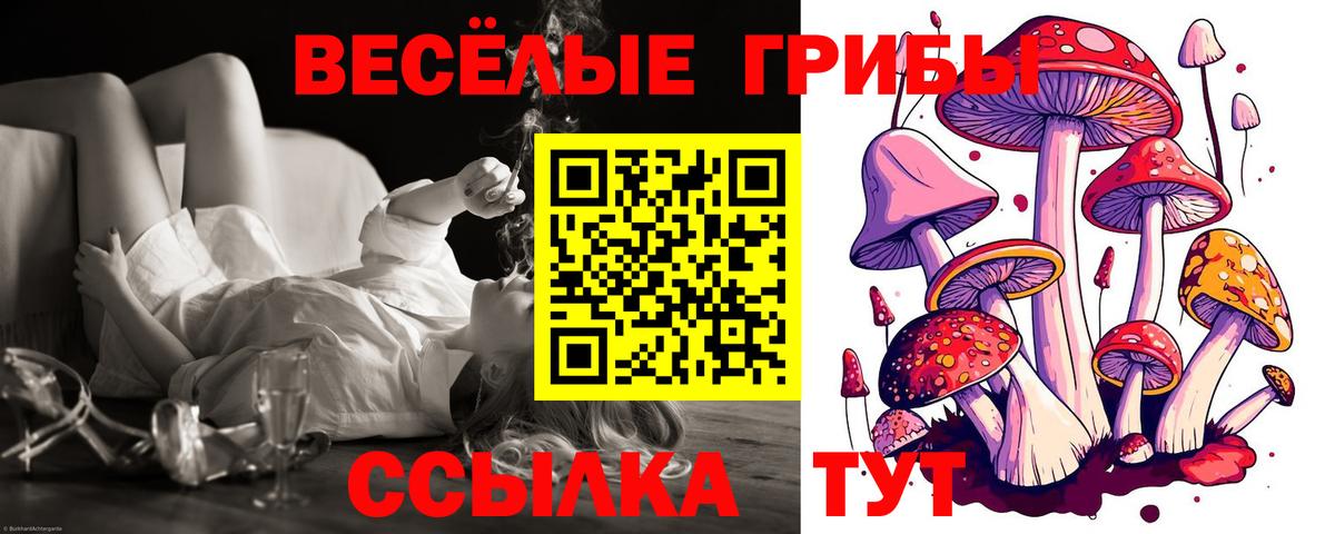 Озёры  Псилоцибиновые грибы Psilocybine cubensis  Вход с VPN 